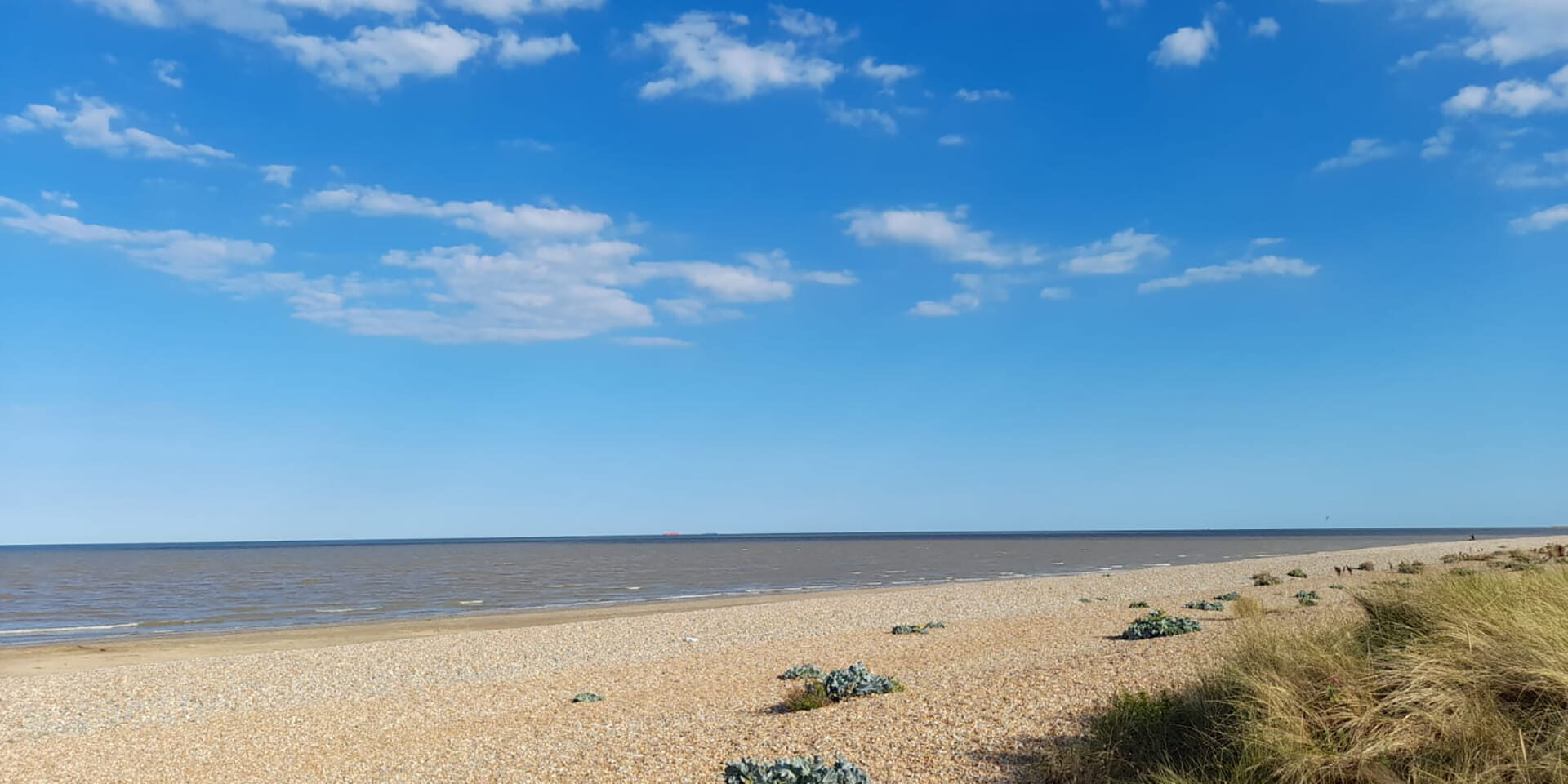 Kent beach